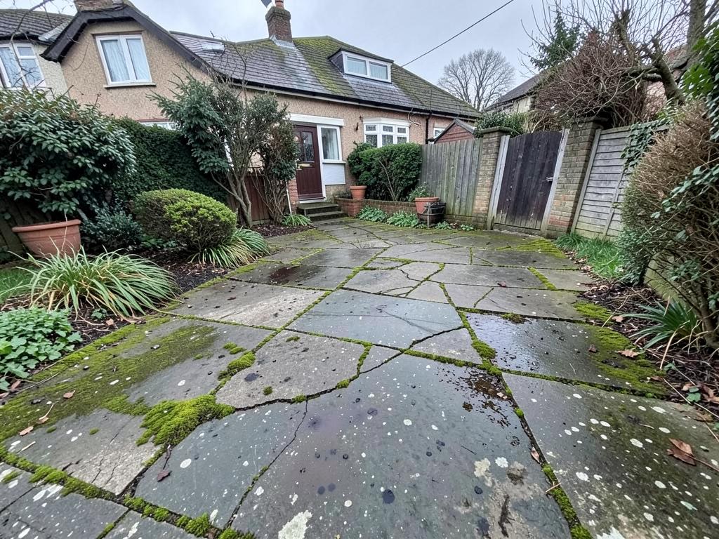 Cracked mossy old driveway before work
